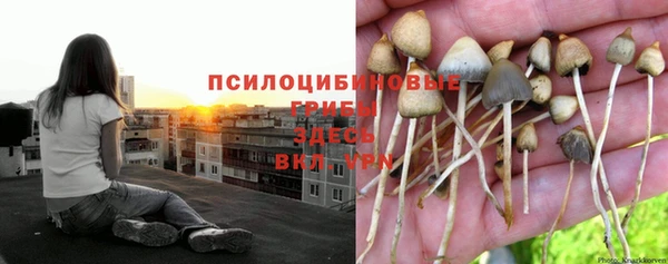 молекула духа Богородск