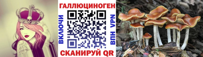 Псилоцибиновые грибы прущие грибы Исилькуль